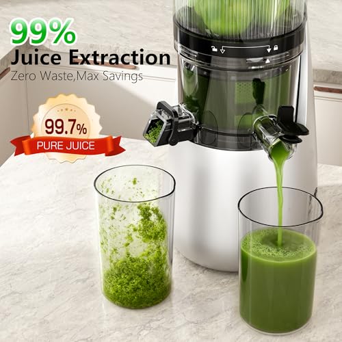 Cold Press Juicer (Silver)
