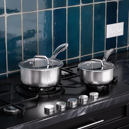 1.5 QT & 2 QT Stainless Steel Pots Set (1.5 Quarts & 2 Quarts)