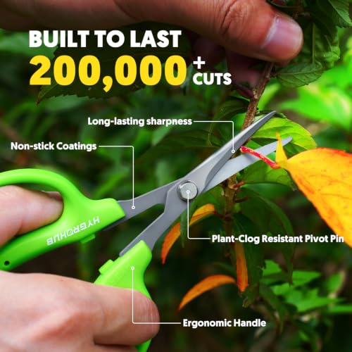 Garden Scissors (Straight Blade)
