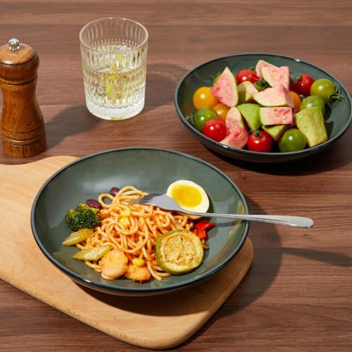 Stoneware Dinnerware Sets for 4 (Blackish Green / Set (16pcs))