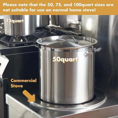 50 Quart Heavy Duty Stock Pot with Lid (50 Quarts)