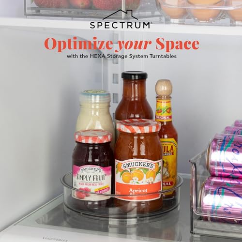 Lazy Susan Organizer
