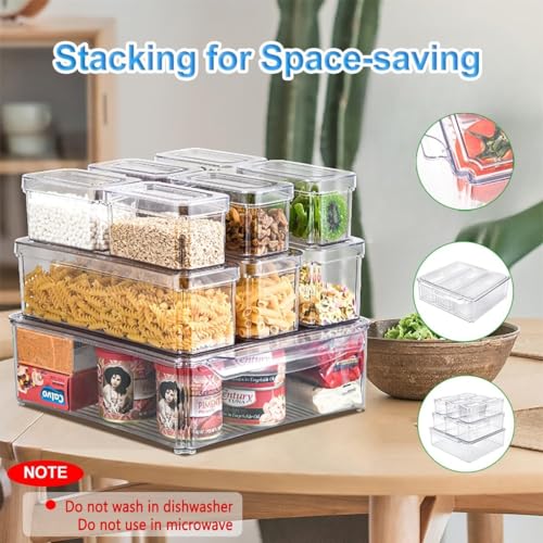 10 Pack Food Storage Organizer Bins (10 Pcs Food Storage Containers)