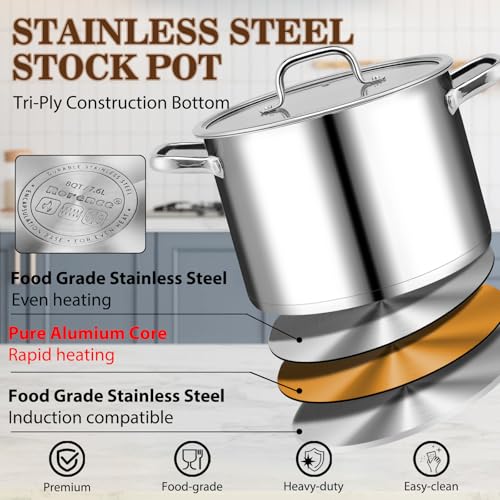 Stainless Steel Stock Pot (8 Quarts)