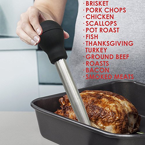 Stainless Steel Turkey Baster With BBQ