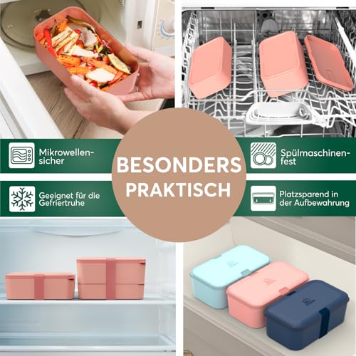 Lunch Box Containers w (Coral Pink / Standard)