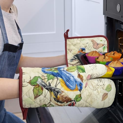 Vintage Bird Oven Mitts and Pot Holders Set (Retro Bird / Oven Mitt x2 & Pot Holder x2)