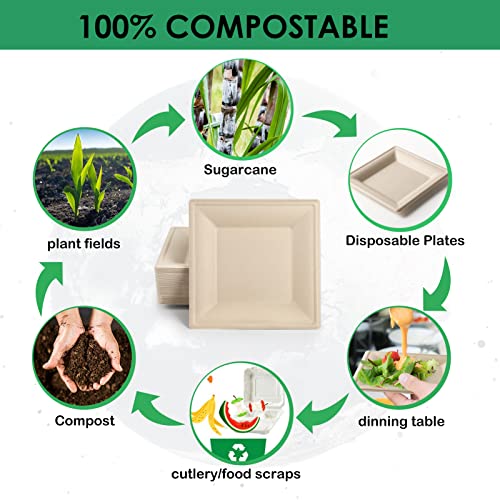 Samll Compostable Square Paper Plates 6 Inch 100 Pack Disposable (Brown / 6-inch 100 pack)