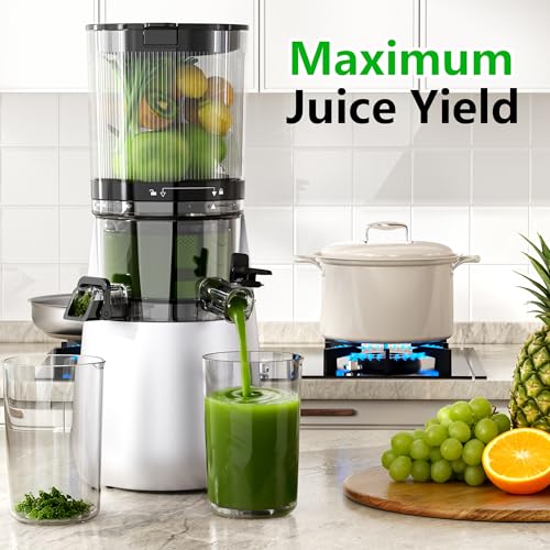 Cold Press Juicer (Silver)
