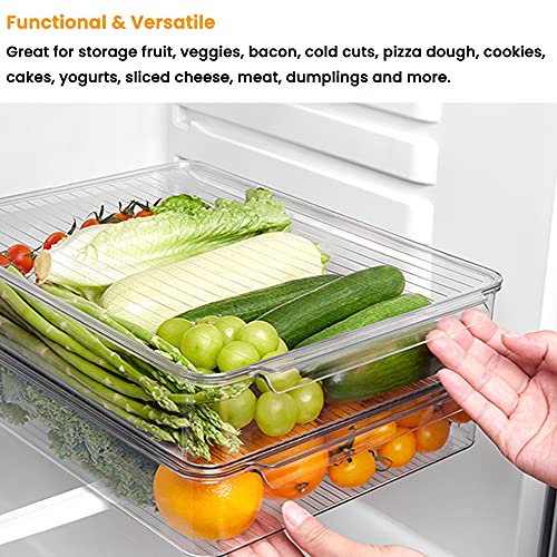 Stackable Freezer Organizer (Tray-M)