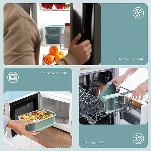 Bento Box Adult Lunch Box