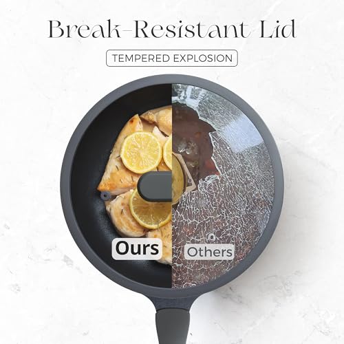 Nonstick Frying Pan with Lid (10" W/Lid / Black Sesame)