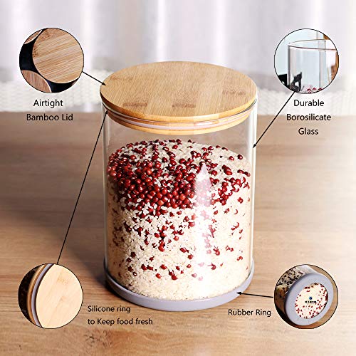 Large Glass Food Storage Container (5.9 IN - 1Pack)