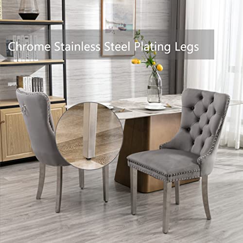 Grey Velvet Dining Chairs Set of 2 (Natural Gray)