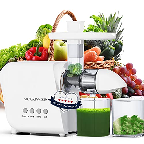 Slow Masticating Juicer