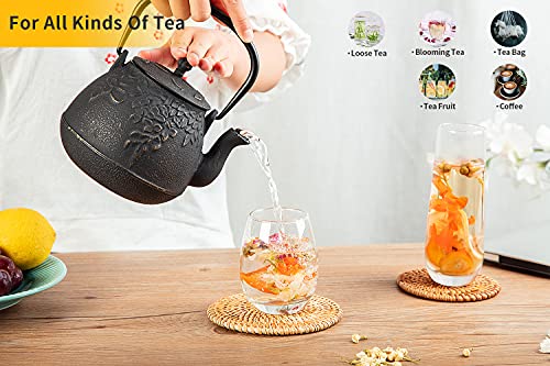 Tea Kettle for Stove Top (54 oz / Black)