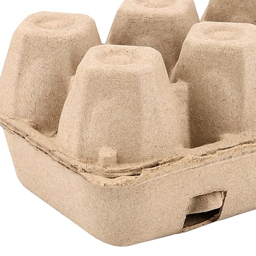 50 Pack Empty Egg Cartons Bulk