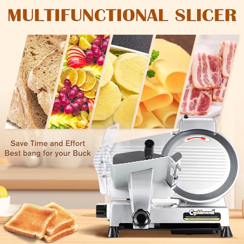 Meat Slicer Machine (CGO-250B4)