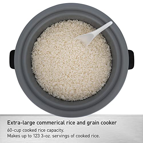 Commercial Electric Rice Cooker (30 Cup / 120V)