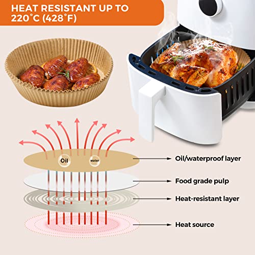 250 Pcs Air Fryer Liners Disposable (250 Count)