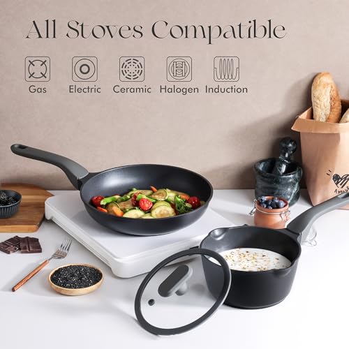 Nonstick Frying Pan with Lid (10" W/Lid / Black Sesame)