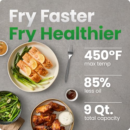 Dual Air Fryer Oven with DC Motor (9 Quart)