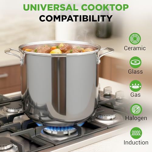 19 Qt Stock Pot with Lid (Stainless Steel / 19 Quarts)