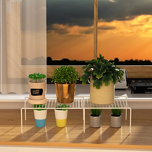 Cabinet Storage Shelf Rack