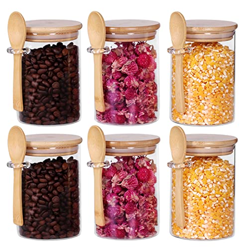 Glass Jars with Bamboo Lids and Spoon Set of 6 (Round/17oz*6/Bamboo Lid)