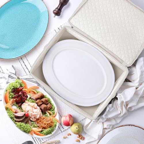 Platter Storage Cases