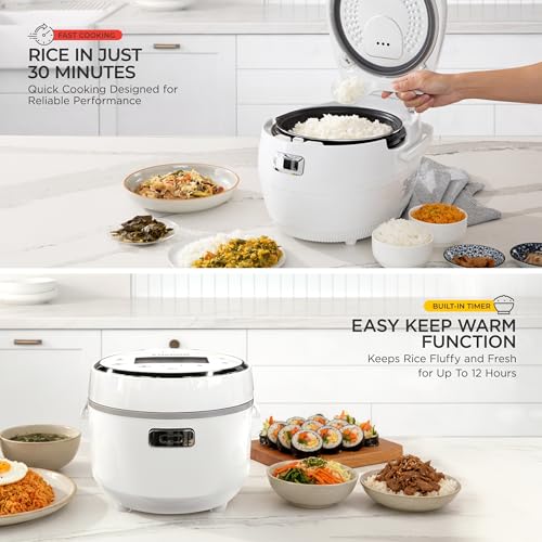 Micom Fuzzy Logic Rice Cooker (10 Cup)