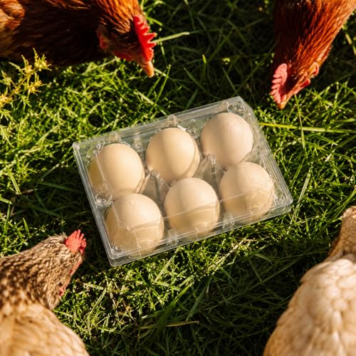 100 Pack Egg Cartons 6 Count (Medium-100PK-6CT)