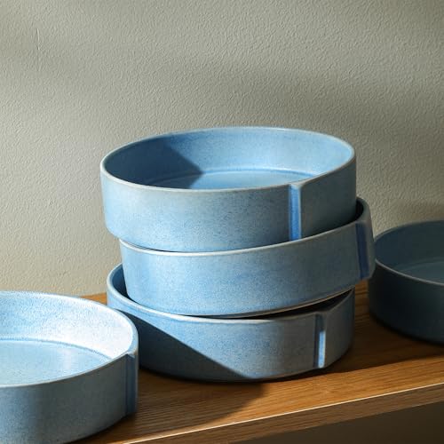 Bao 4 Piece Pasta Bowl Set Stoneware (Blue / 4-Piece - Pasta Bowl)