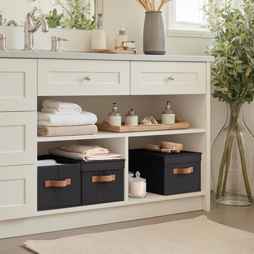 Fabric Storage Bins with Lids (Black / Large)