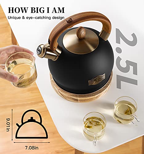 Whistling Tea Kettle Stovetop (Black / 2.6 Quarts)