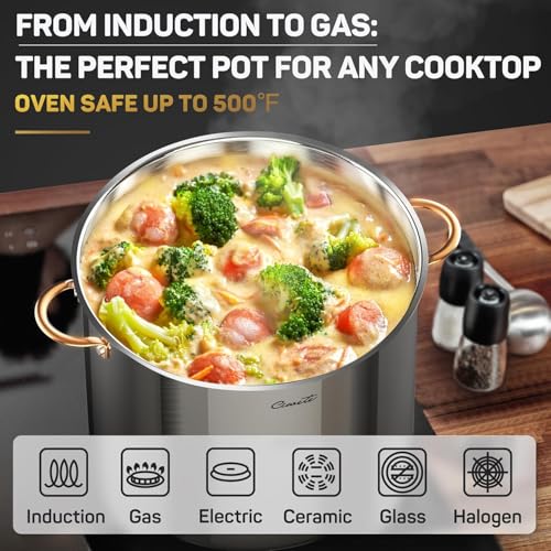 Stock Pot 20 Quart (Stock Pot / 20 Quarts)