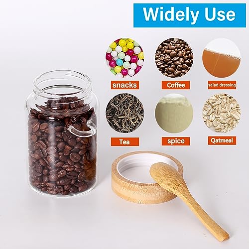 Glass Jar with Screw Lid and Spoon (6 Count)