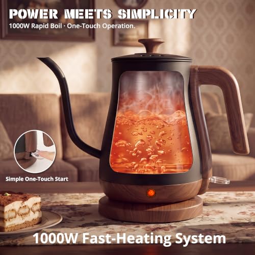 Gooseneck Electric Kettle (Matte Black / 0.8 Quarts)