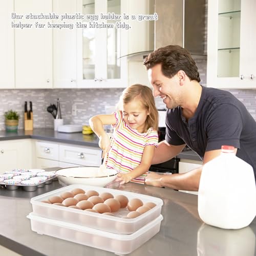 Deviled Egg Containers with Lid (2 Count)