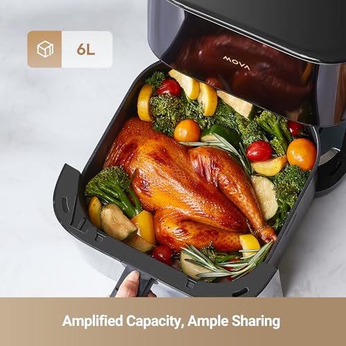 FD10Pro Air Fryer