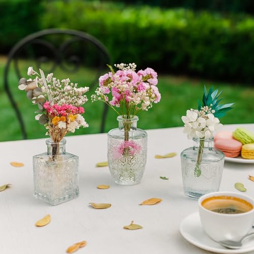 Glass Bud Vase Set of 12 Pcs