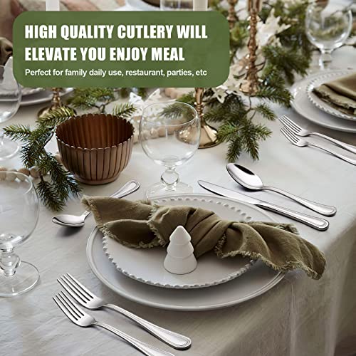 60 Piece Silverware Set for 12 (60 Piece)