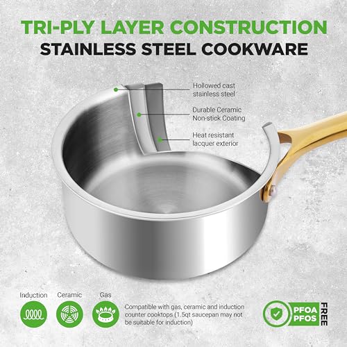 16 Piece Stainless Steel Cookware Set (Stainless Steel / Gold)