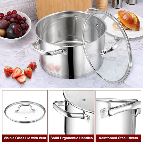 6 QT Stainless Steel Stock Pot (6 Quarts)