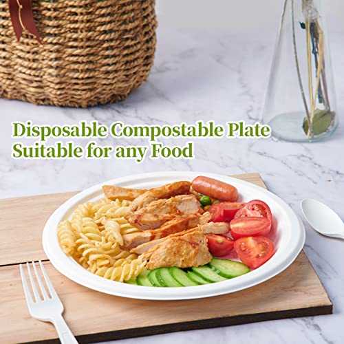 120 Pack Compostable Paper Plates Disposable (9 inch and 7 inch)