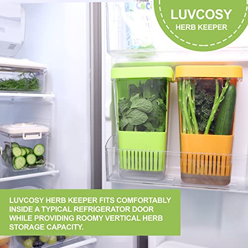 Fresh Herb Keeper for Refrigerator (Herb Keeper - Green & Orange)