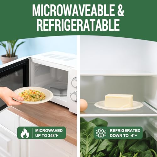 Small Compostable Paper Plates (Nature / 75 Count (6"))