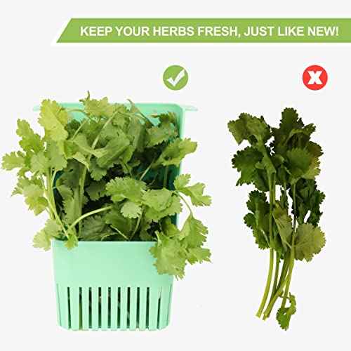 2 Pack Herb Keeper (Herb Keeper - Green & Blue)