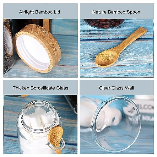 Glass Jar with Screw Lid and Spoon (6 Count)