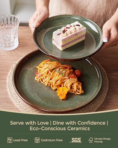 Stoneware Dinnerware Sets for 8 (Brown Green / Set (24pcs))
